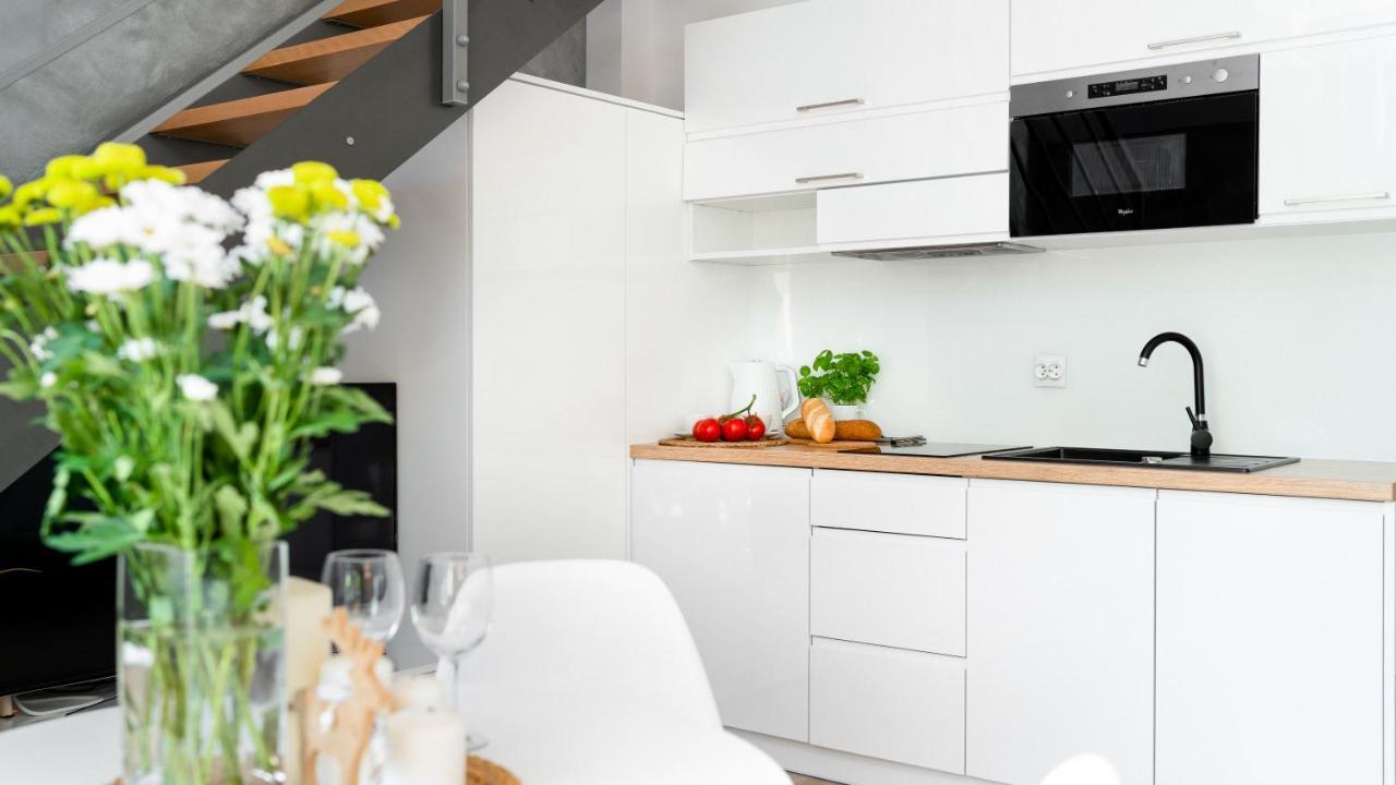 Apartament Sarnia Z Widokiem Na Sniezke Karpacz Εξωτερικό φωτογραφία